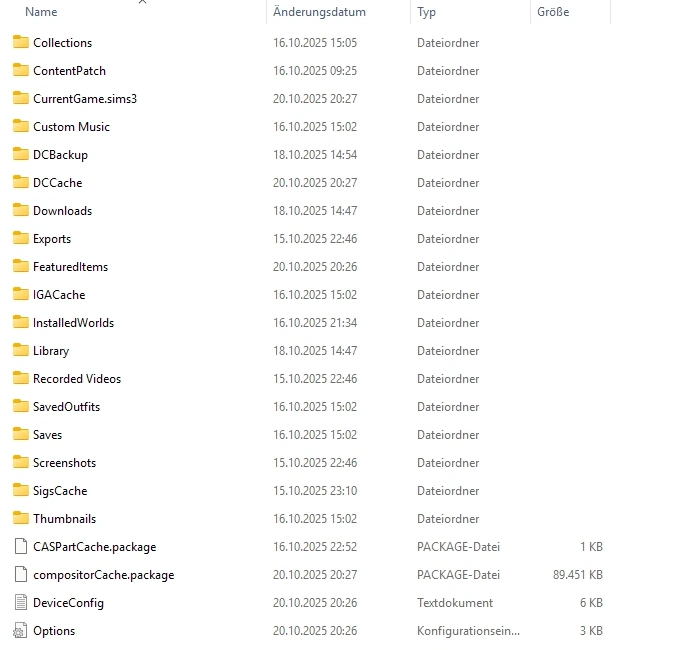 Sims 3-Ordner in den eigenen Dateien